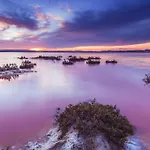 Lejlighed Your Spain R17 2b Torrevieja